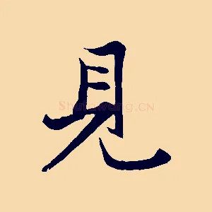 見