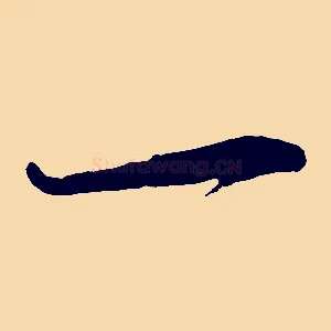 一