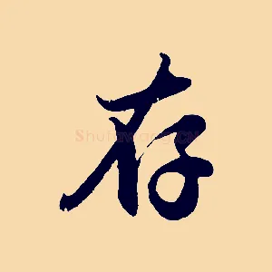 存