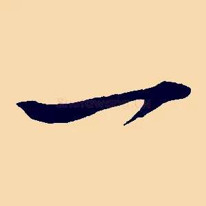 一