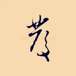 發