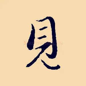 見