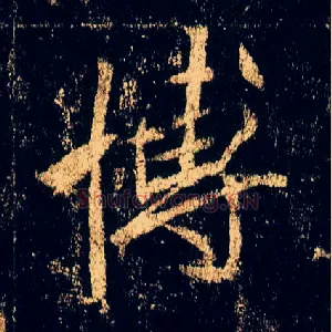 博