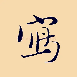 寫