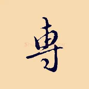 專
