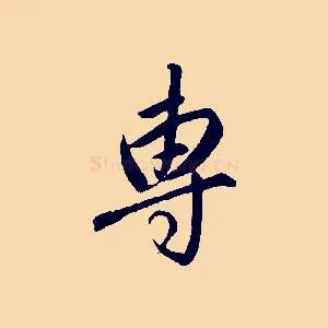 專