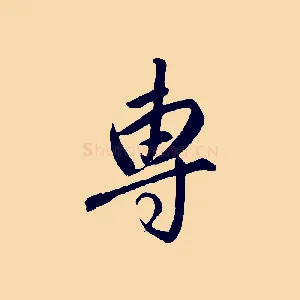 專