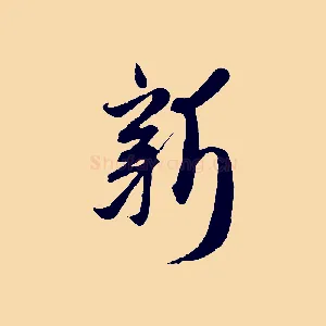 新