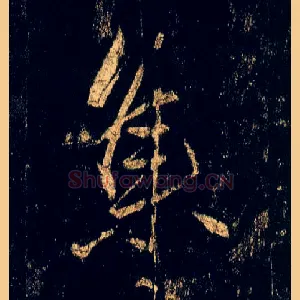 集