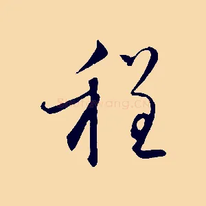 程