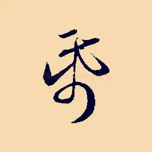 紙