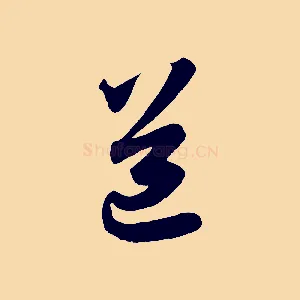 道