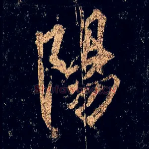 陽