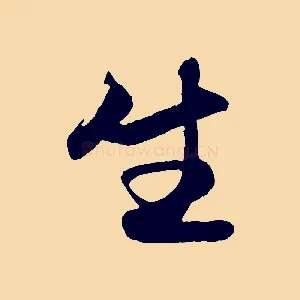 生