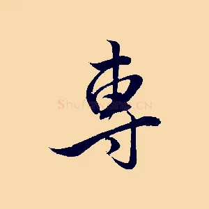 專