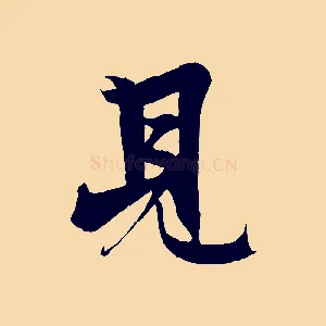 見