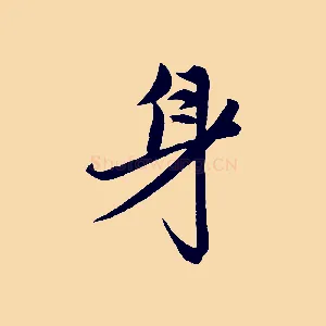 身