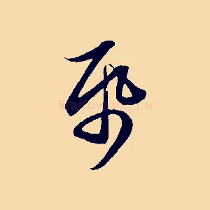 紙