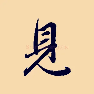 見