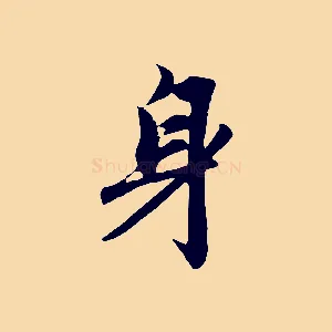 身