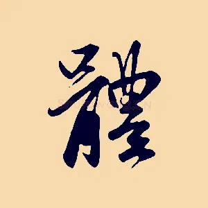 體