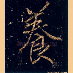 養