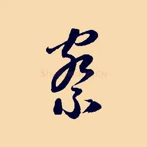察
