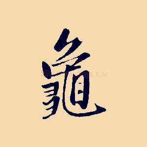 龜