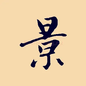 景