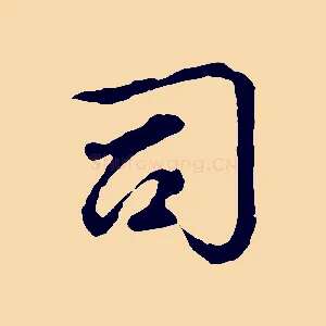 司