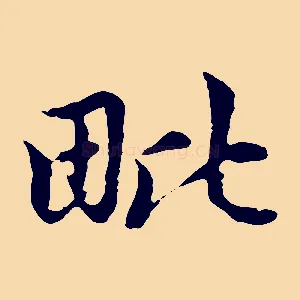 毗