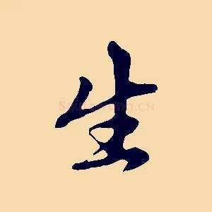 生