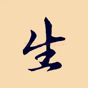 生