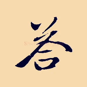 荅