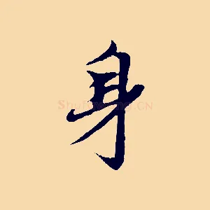 身