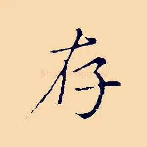 存