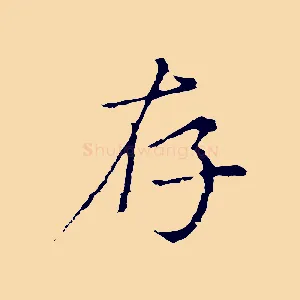 存
