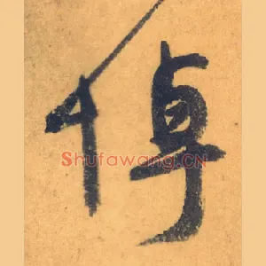 悼