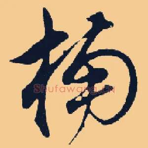 楠