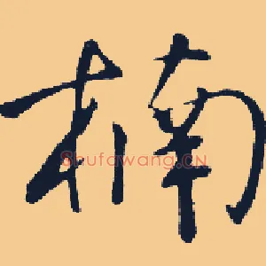 楠