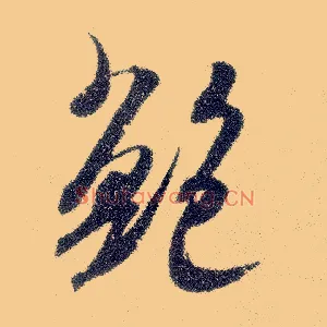 鲍