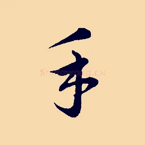 手
