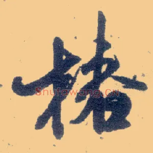 椿
