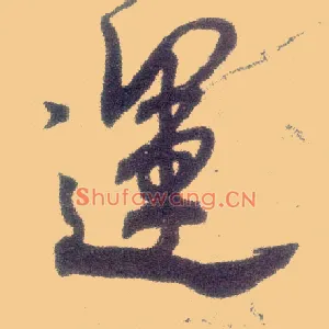 运