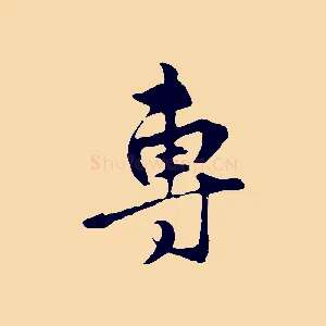 專