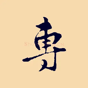 專