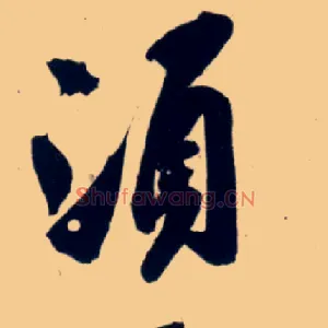 须