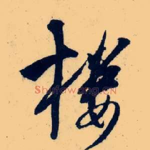 楼
