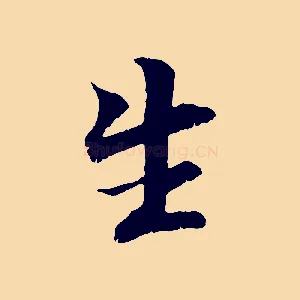 生