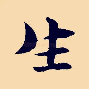 生